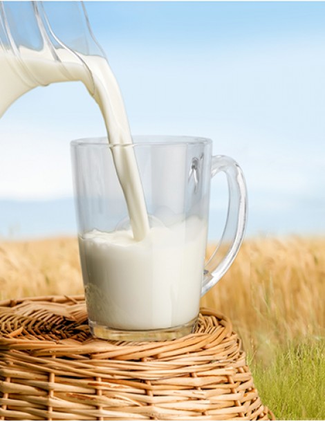Organik Keçi sütü UHT 1000 ml